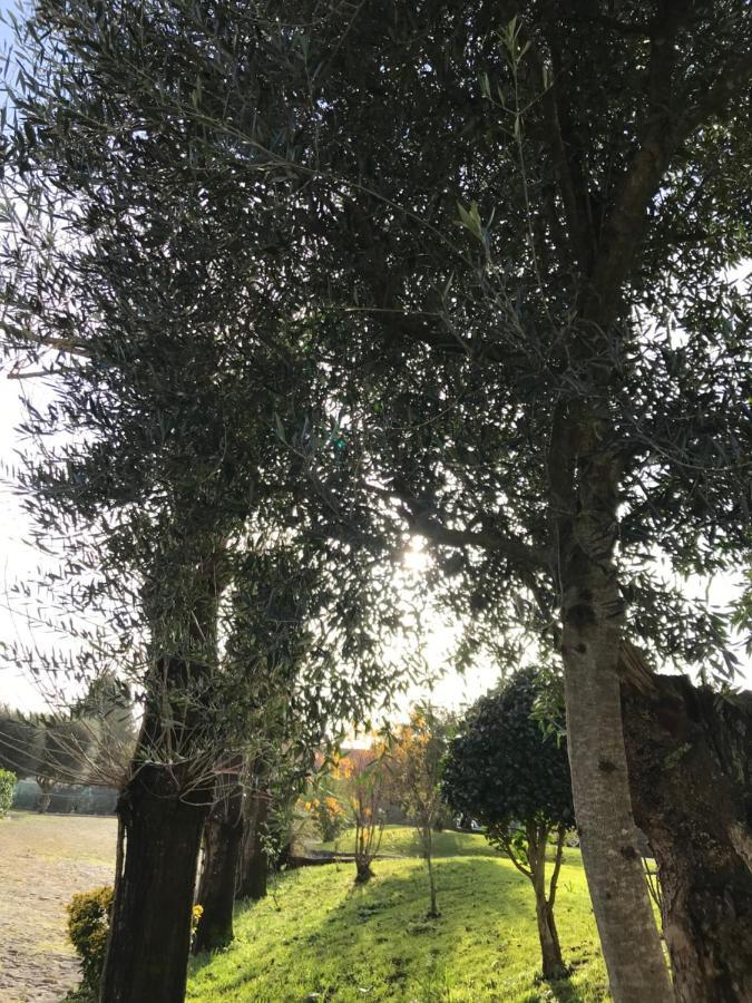 Casal Da Batoca Nature House Fafe Εξωτερικό φωτογραφία